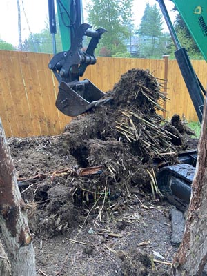 Residential-Tree-Stump-Removal-Fife-WA
