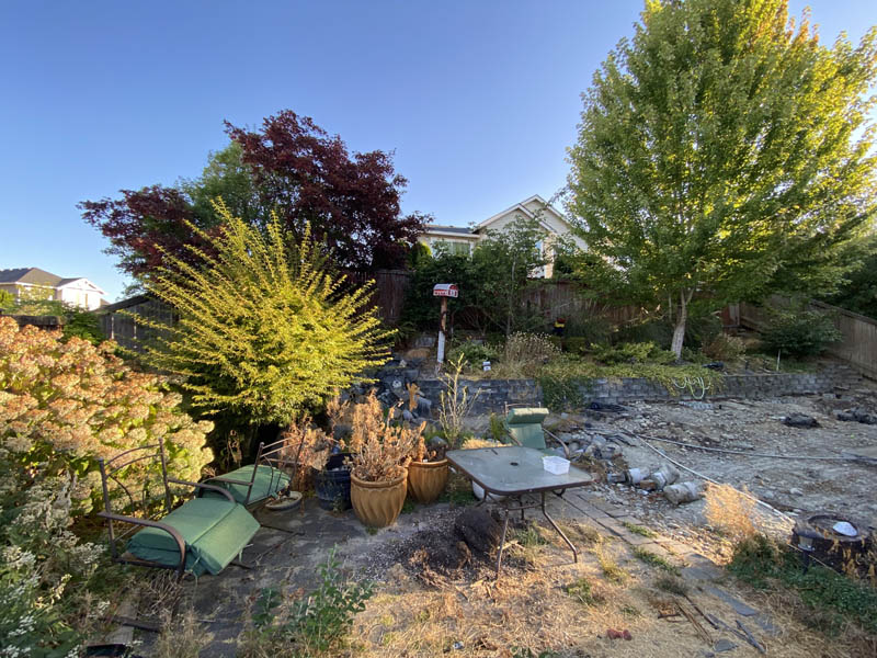 Before — A backyard land clearing and grading project in south pierce county before photo