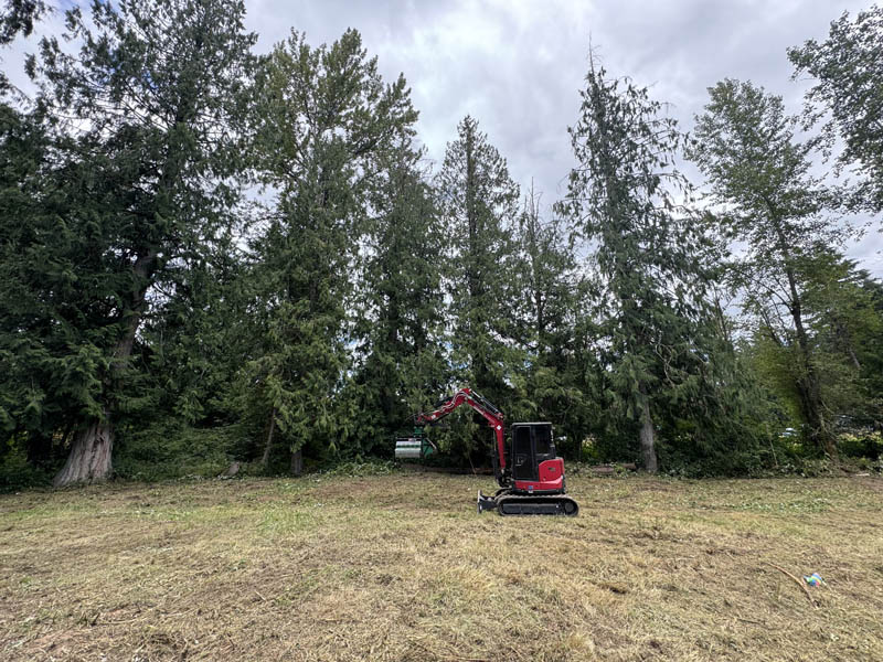 After — Brush Cutting After Photo in South King County
