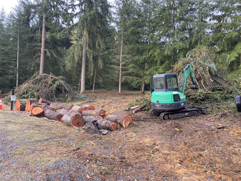 After — Land Clearing and Tree Removal Job After