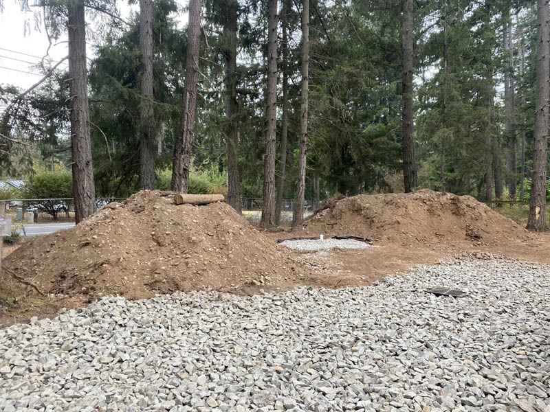 Before — Land Clearing and Tree Removal Job Before