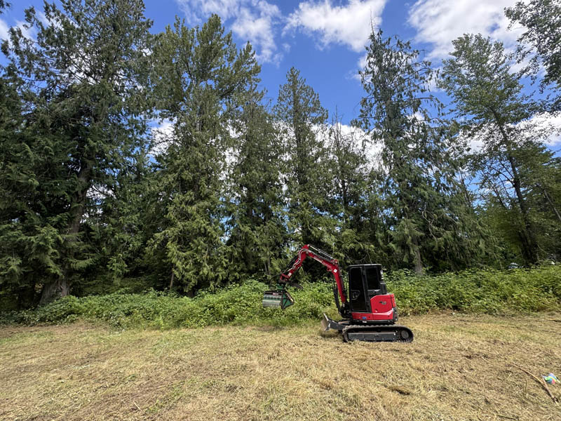 One of our forestry mulching jobs out near the edge of tacoma