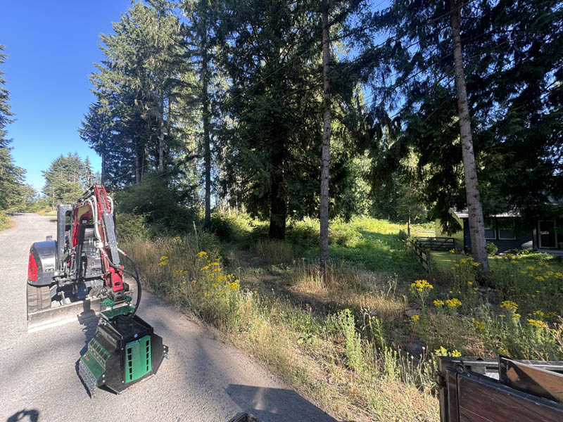 Residential land clearing and brush cutting job near lakewood