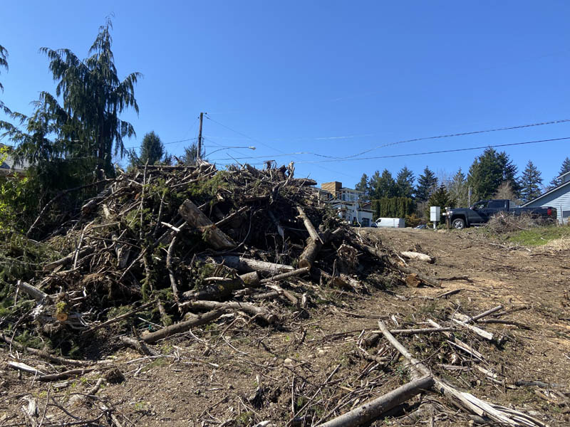 Tree Stump and large branch land clearing job in pierce county