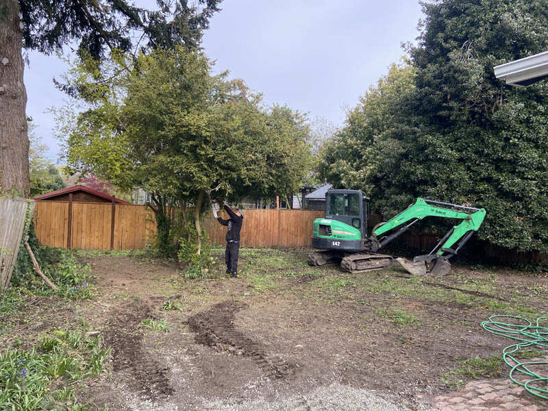 Before — backyard land clearing project back in nov 2023 before photo