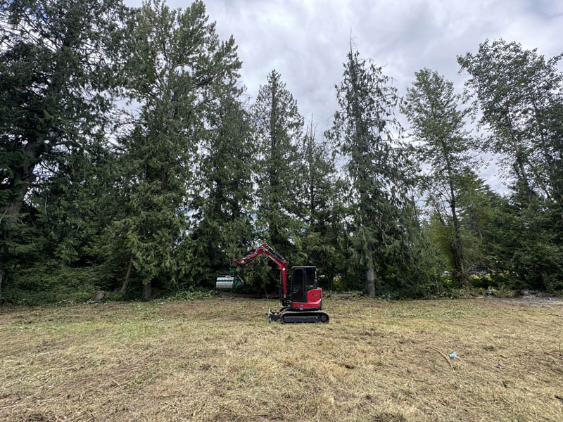 After — one of our land clearing and brush cutting jobs after photo