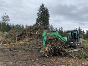 commercial land clearing wa 300x225