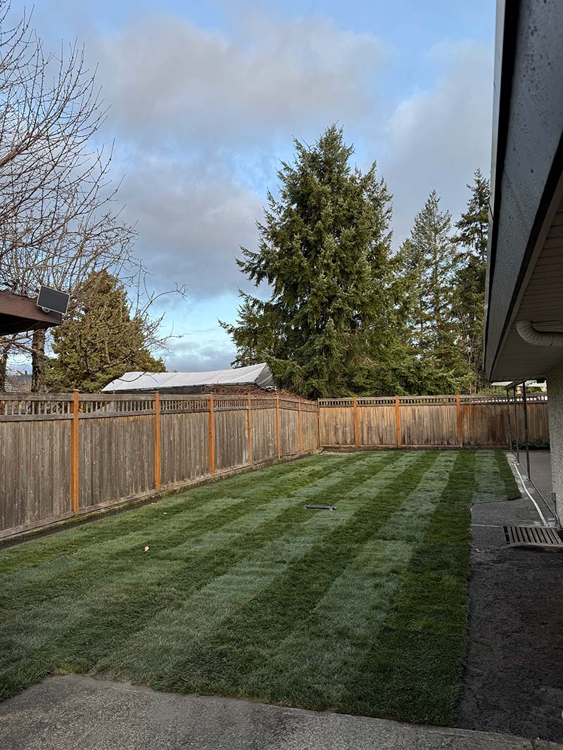 After — Final Results of a Pool Demo with Sod Installation Done By Frankys Excavation