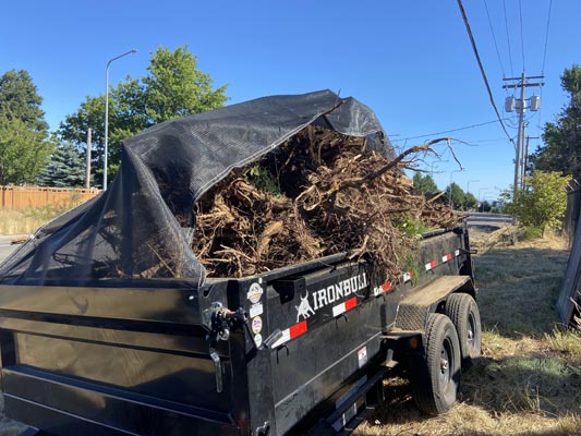Commercial Tree Stump Removal WA