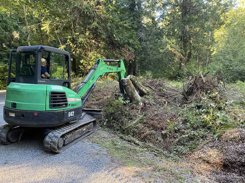 Forestry Mulching Pierce County