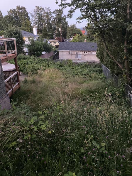 Before — Land Clearing Auburn Before