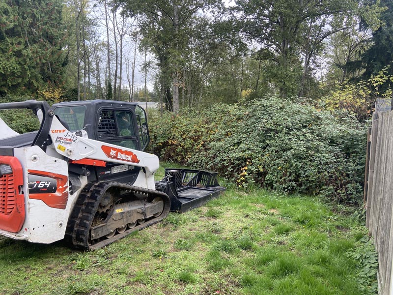 Before — Land Clearing Auburn WA 6 1
