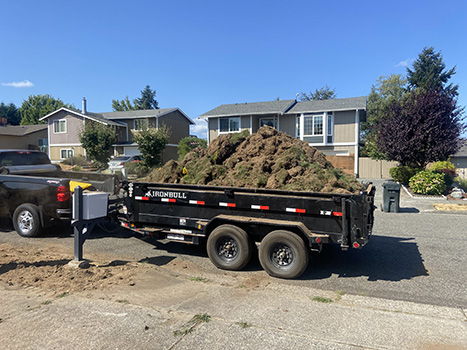Sod Removal