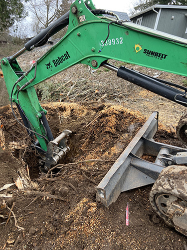 Stump Removal