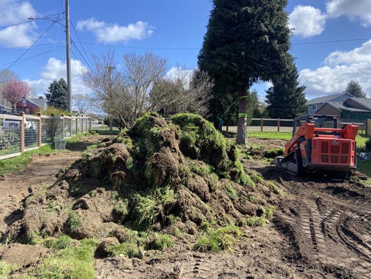 Commercial Sod Removal WA