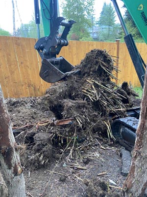Residential Tree Stump Removal WA