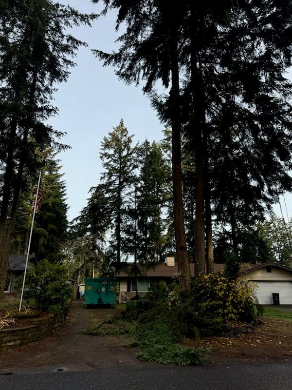 Site preparation job for land clearing and asphalt driveway installation with frankys excavation near renton washington