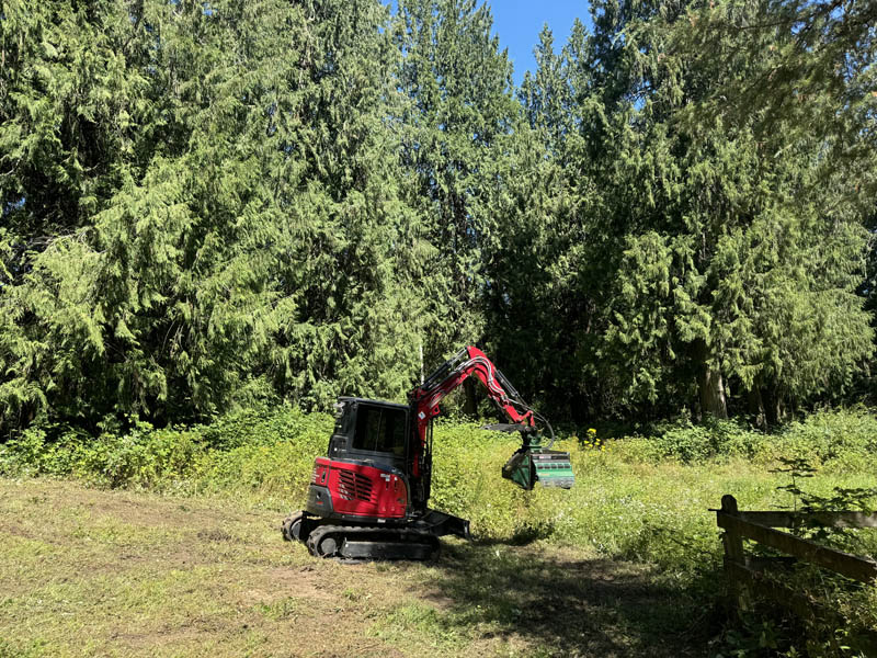 Brush Cutting Before Photo in South King County