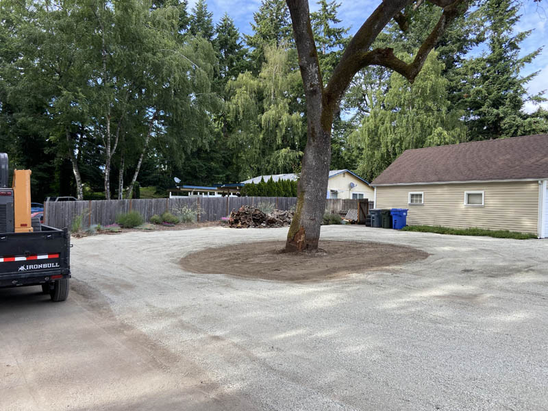 Frankys land clearing project for a residential gravel driveway job after phohto