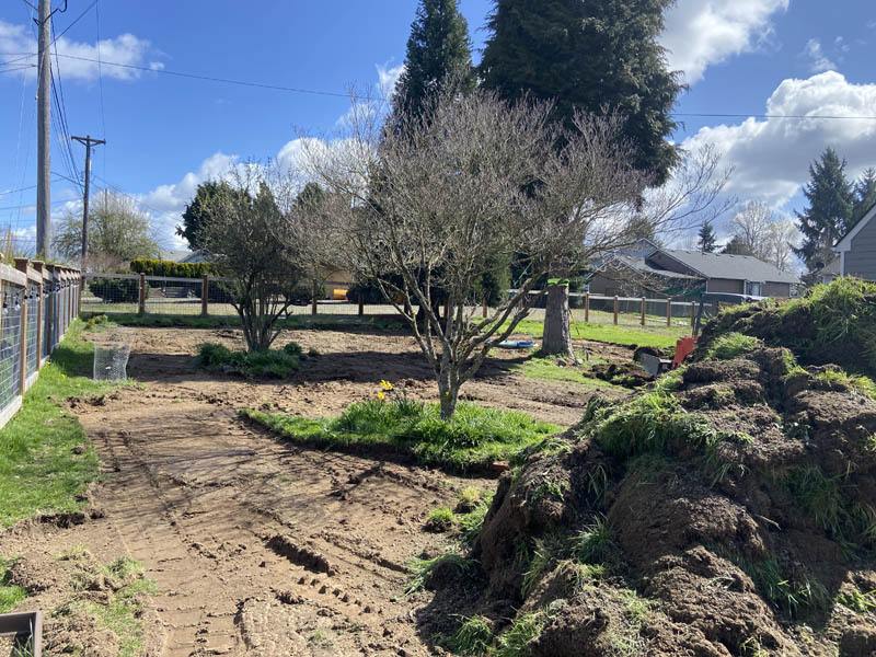 Sod removal and disposal job we did close to king county wa