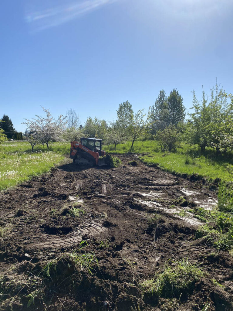 Sod removal job we did back in sept 2024 for a client in south tacoma near lakewood