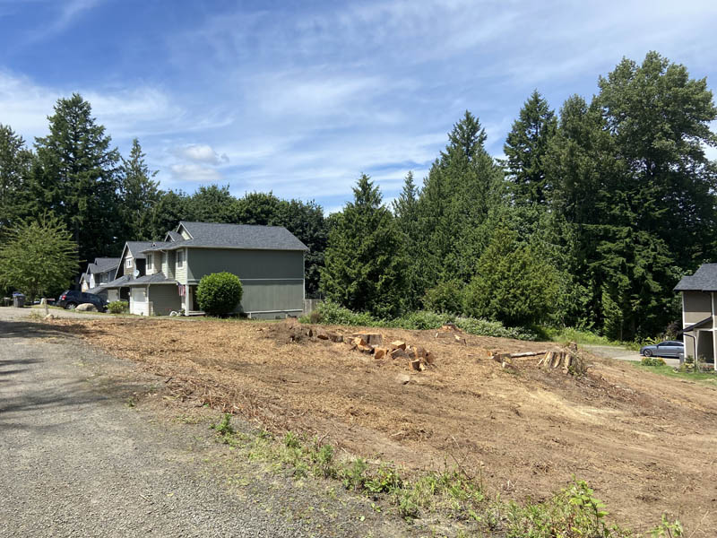 Stump removal job out in Kent south of king county