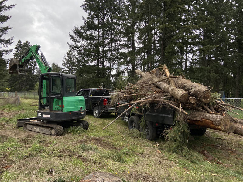 one of our recent residential land clearing projects in north pierce county