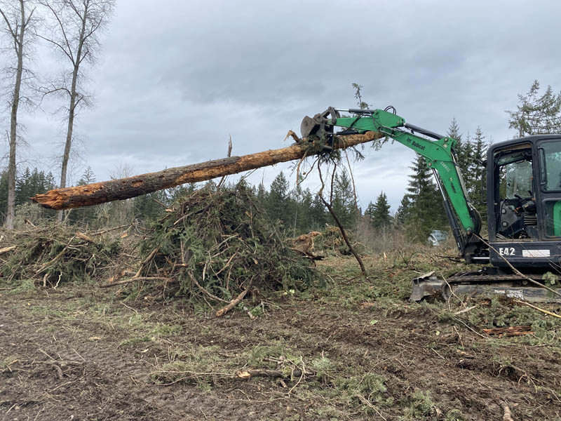 stump and tree removal out in kent