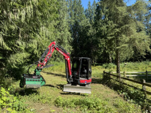 land clearing and brush clearing federal way