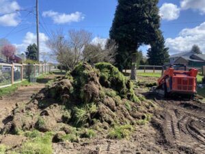 sod removal seattle wa 300x225