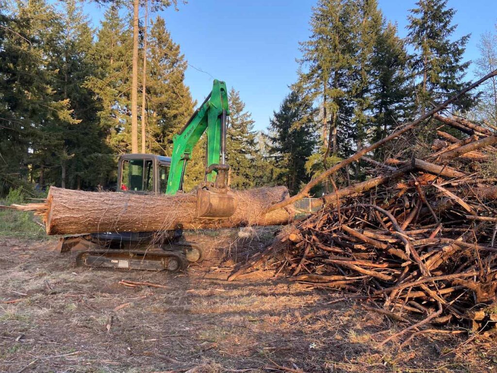 land clearing & tree removal services being done by franky's excavation