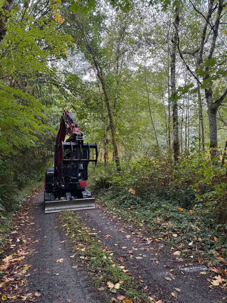 land clearing services with franky's excavation in pierce & king county