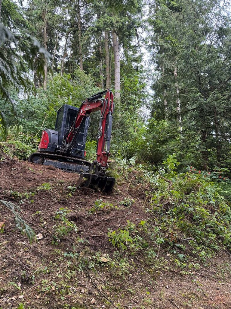 land clearing and lot clearing services being done by franky's excavation