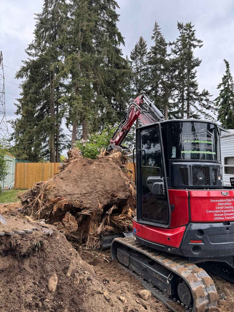 stump removal being done by franky's excavation in pierce county