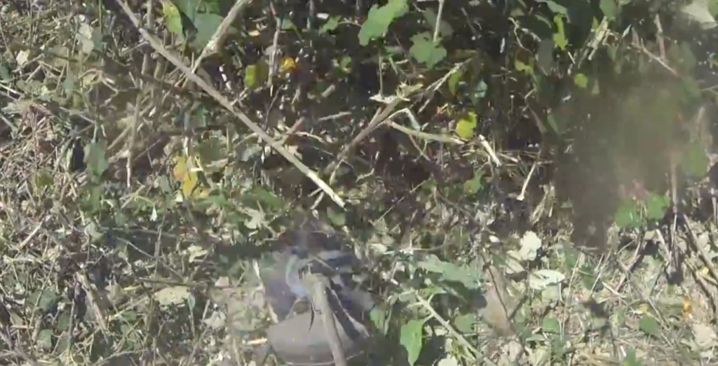 screenshot 2026 02 13 215818