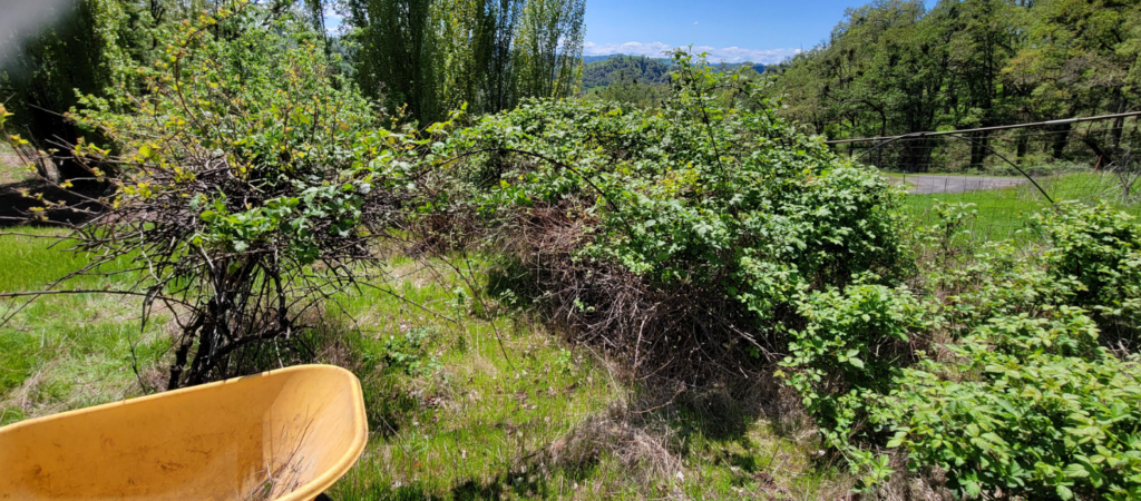 screenshot 2026 02 13 215826