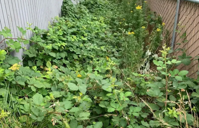 screenshot 2026 02 13 215830