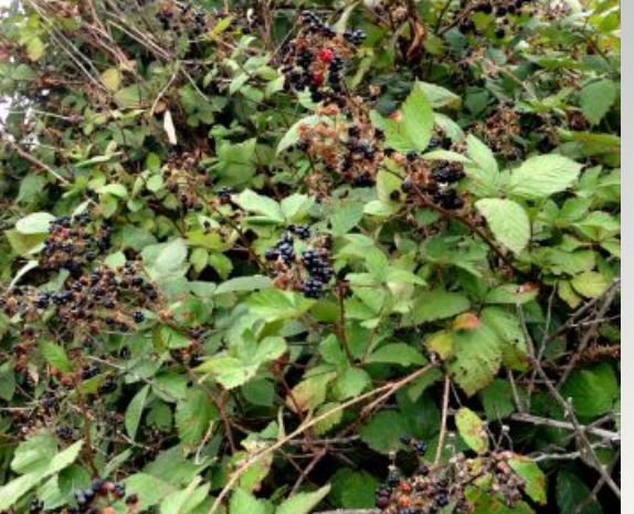 image 2026 02 13 220054433